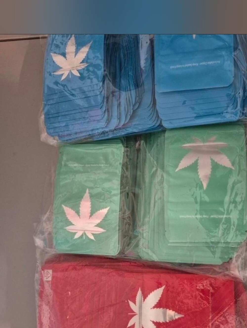 Blue, Green, and Red Party Favor Bags with Leaf Design 50 Count